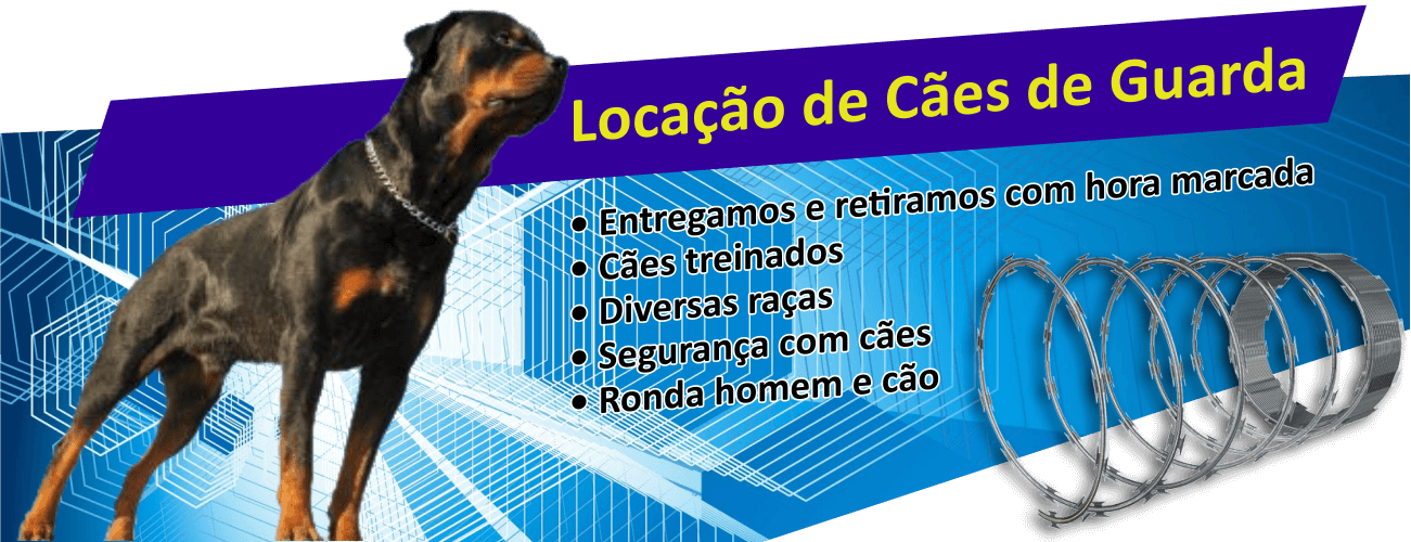 Concertinas e Redes Laminadas em Santos - Canil Barreto